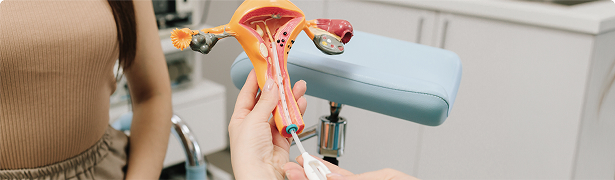 A clinician demonstrating an intrauterine device model